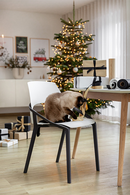 ROBERT AUER Stühle für deine Terrasse